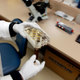 A scientist handling a colony of stem cells at the Wisconsin National Primate Research Center at University Wisconsin-Madison.